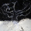 still 13