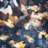 Happiness is the Persuit of Repetition/ Neuron Field (Detail 2)