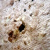 4 (detail 4)