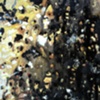 Colloid, Detail 3
