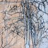 Tree Drawing 1 (Chautauqua)
