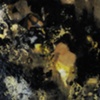 Colloid, Detail 16