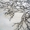 Detail 2