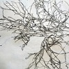 Syracuse Dendrite