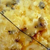 Detail 16