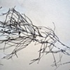 Detail 4