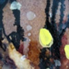 Happiness is the Persuit of Repetition/ Neuron Field (Detail 13)