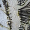 Lisboa Tree Drawing Detail 7