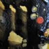 Colloid, Detail 13