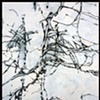 Detail 1