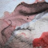 Connective Tissue (Detail 5)