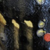 Colloid, Detail 21