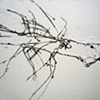 Detail 5