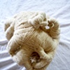 Growth Family ( 3)
