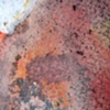 Connective Tissue (Detail 6)
