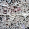 Wool Box 3, Detail
