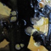 Colloid, Detail 12