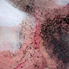 Connective Tissue (Detail 9)