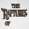 Detail. The Raptures of