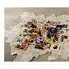 Island. Overhead view.