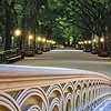 Central Park