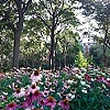 Washington Square Park (detail 1)