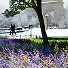 Washington Square Park (detail 2)
