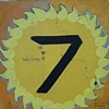 Sunflower Seven and the Sweet Southerlies
