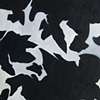 Untitled (Black and White)