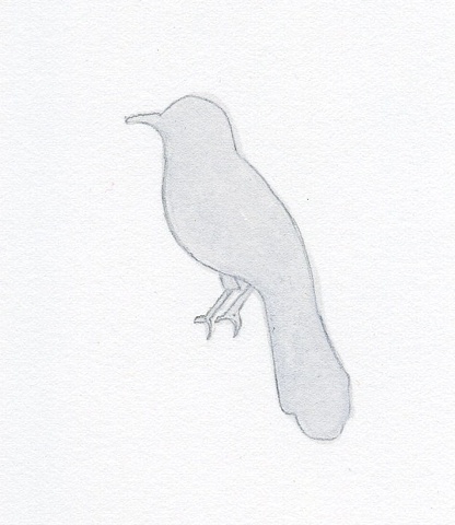 Beautiful Little Bird
