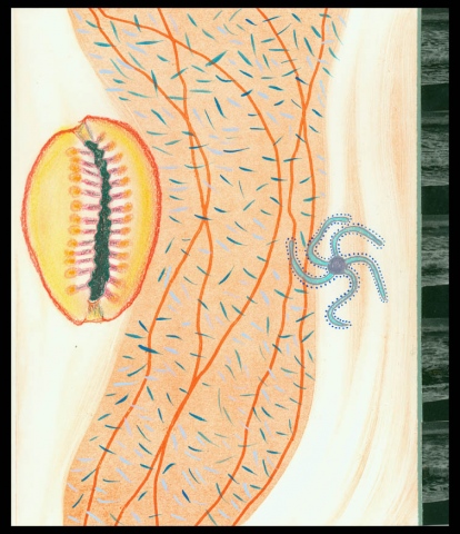 Neruda 9