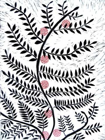 Fern