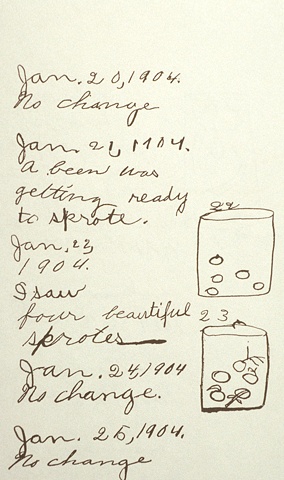 The Art of Simple Note-taking