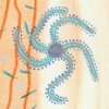 Neruda 9