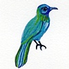 Beautiful Little Bird