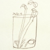 The Art of Simple Notetaking
