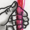 Rose 6