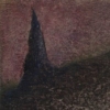 Rose 7