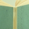 The Journal of Elizabeth Jennings Wilson