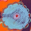 Lei IV