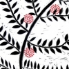 Fern