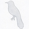 Beautiful Little Bird