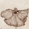 Noreen Sadue