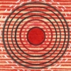 Rose 13