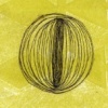 O'Connell