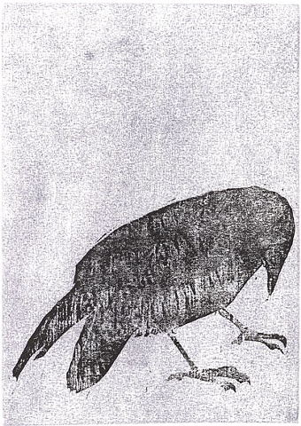 raven