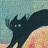 Medea postcard