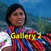Photo Gallery 2