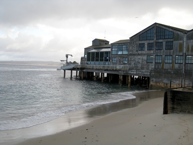 Monterey Bay Aquarium