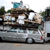 Pack Rat 